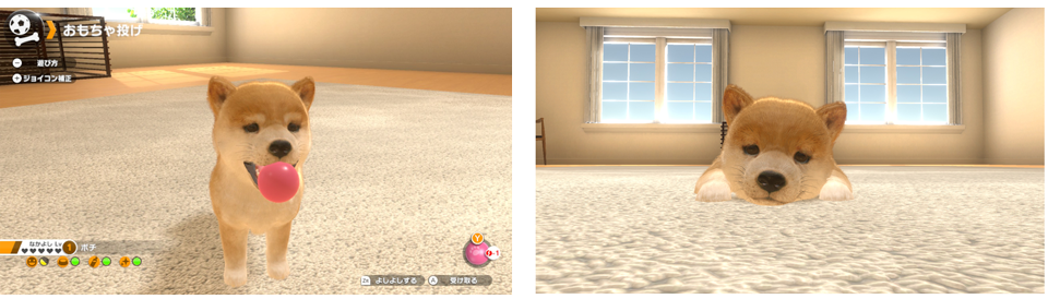 LITTLE FRIENDS –DOGS & CATS